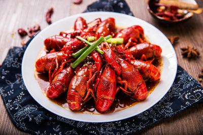 小龍蝦訓練哪里滋味好?名師教育，不走彎路
