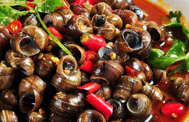 20251106135516129887.jpg 20251106135516129887.jpg